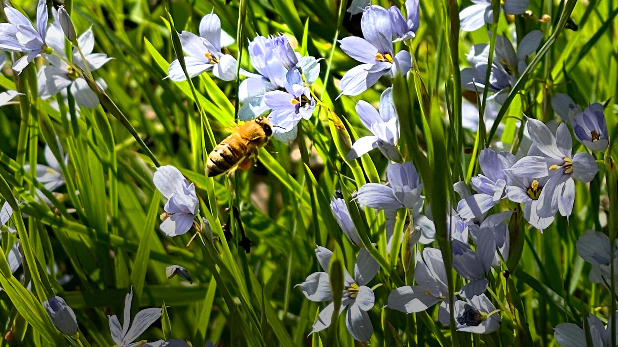 Pure Nature, Handcrafted for You
